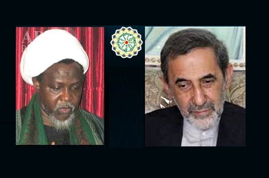 Islamic Awakening World Assembly Released Statement over Shia Massacre in Nigeria